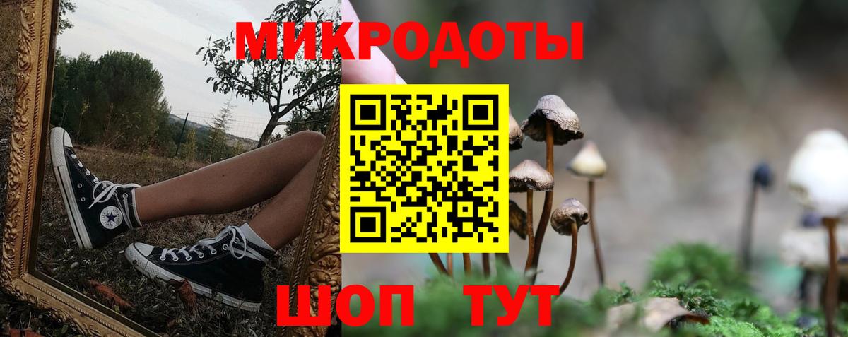 Псилоцибиновые грибы мухоморы Елизово